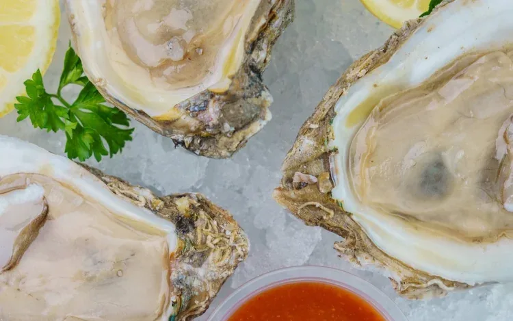 Fresh Gulf oysters on ice with lemon and cocktail sauce at Salted Pearl